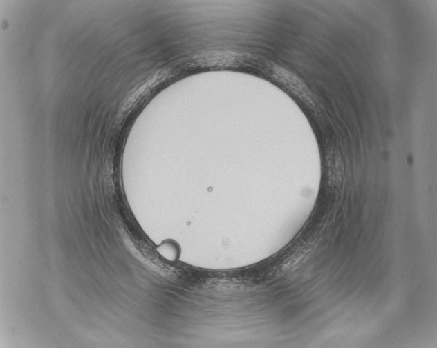 X0000071840538200607290110