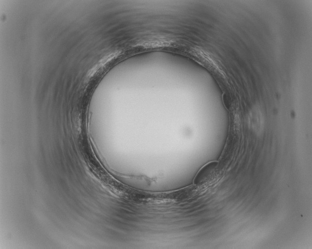 X0000071840539200607290110