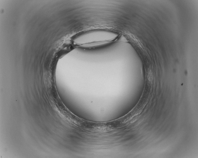 X0000071840540200607290110