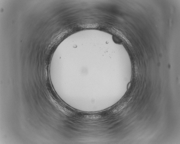 X0000071840541200607290110