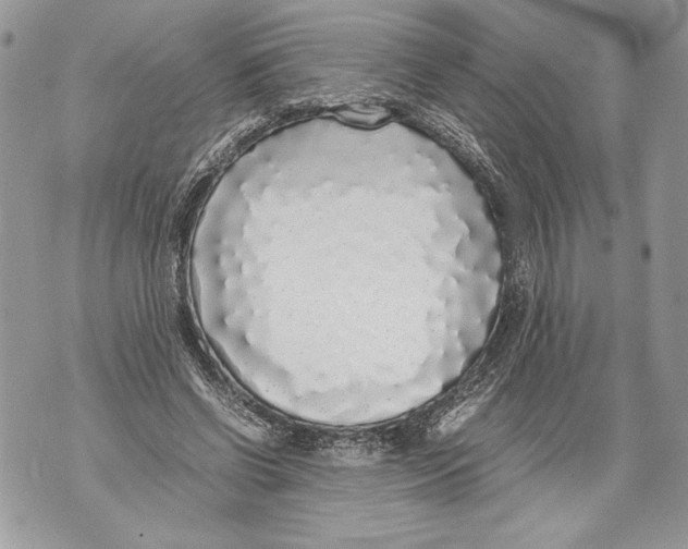 X0000071840542200607290110