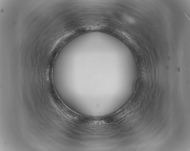 X0000071840543200607290110