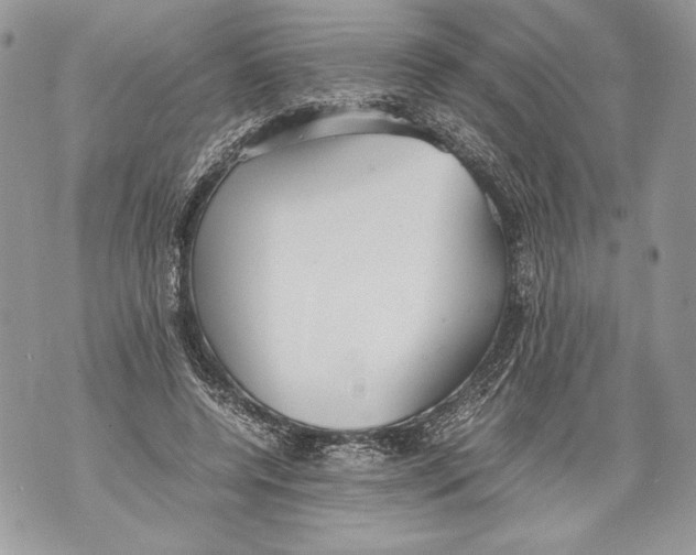 X0000071840544200607290110