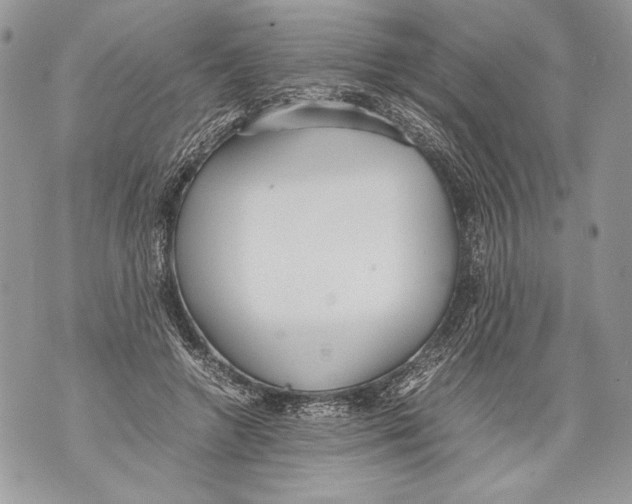 X0000071840546200607290110