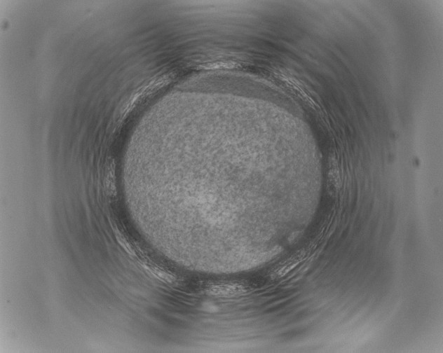 X0000071840547200607290110