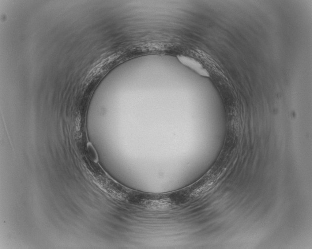 X0000071840548200607290110