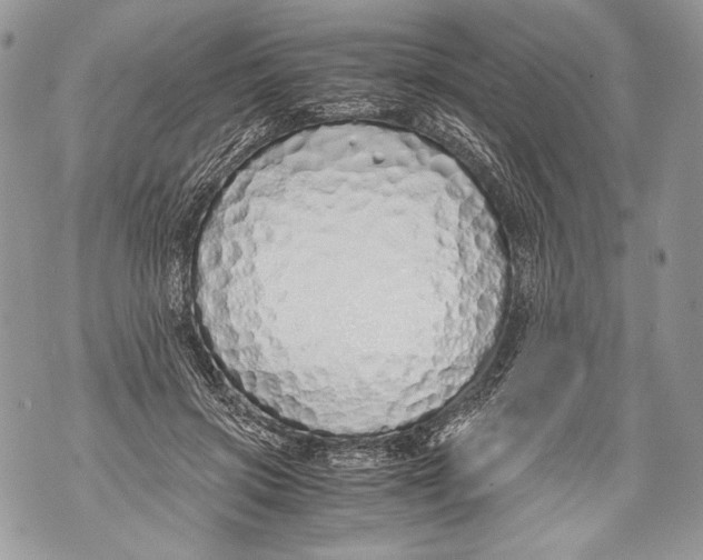 X0000071840549200607290110