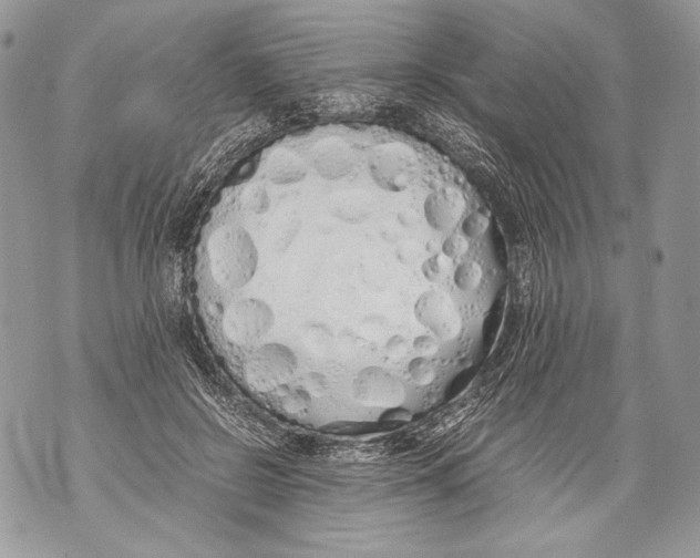 X0000071840550200607290110