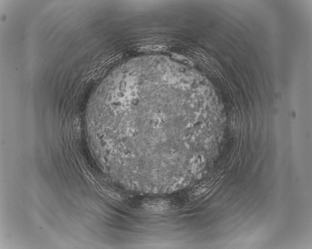 X0000071840551200607290110