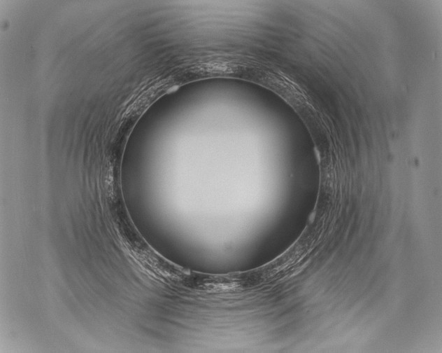 X0000071840552200607290110