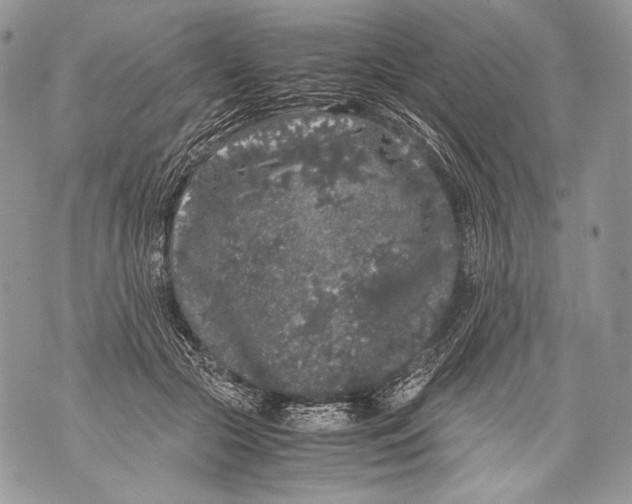 X0000071840553200607290110