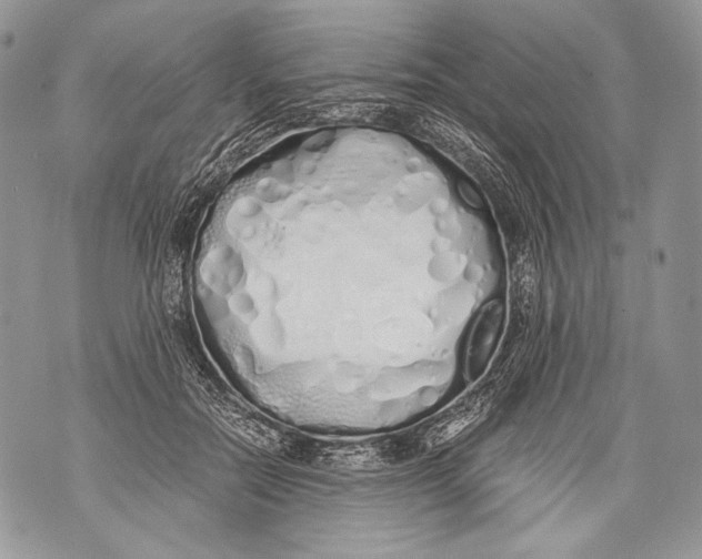 X0000071840554200607290110