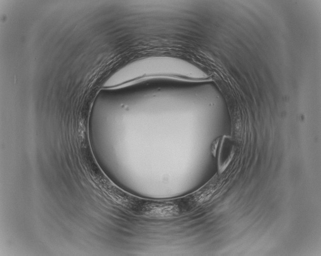 X0000071840555200607290110