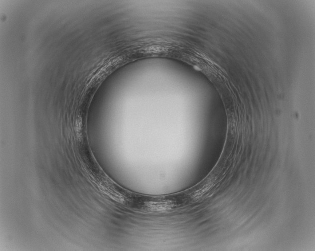 X0000071840556200607290110