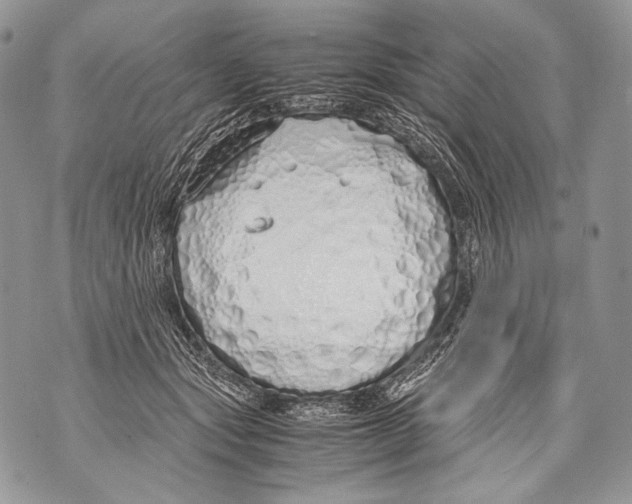 X0000071840557200607290110