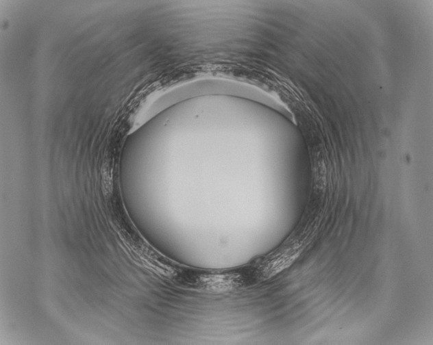 X0000071840558200607290110