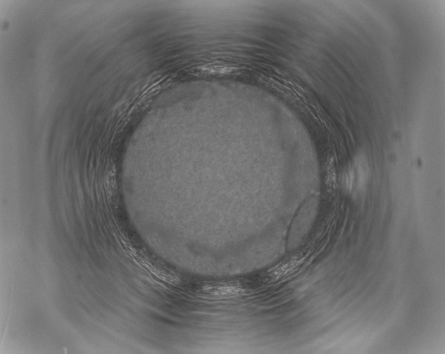 X0000071840559200607290110