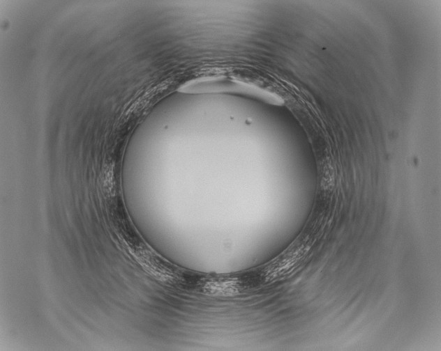 X0000071840560200607290110