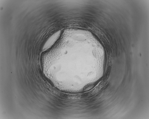 X0000071840561200607290110