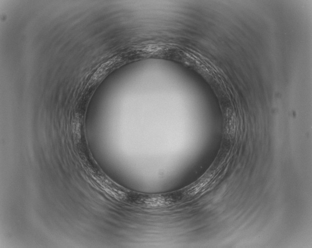 X0000071840562200607290110