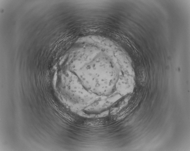 X0000071840563200607290110