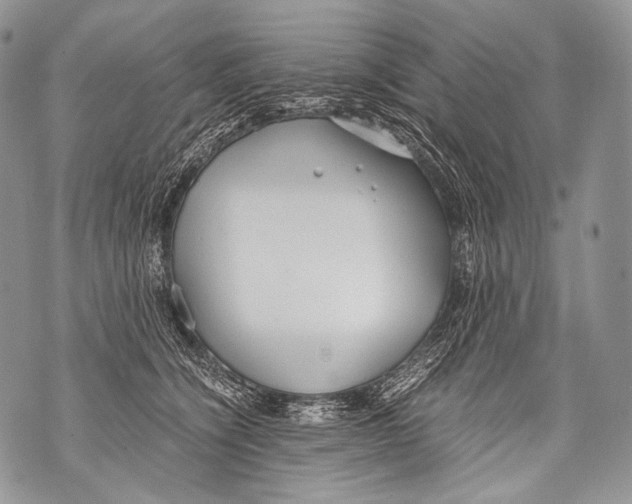 X0000071840564200607290110