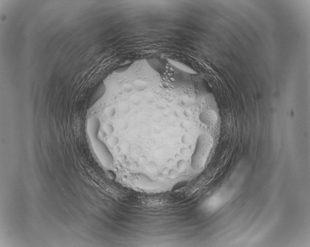 X0000071840565200607290110