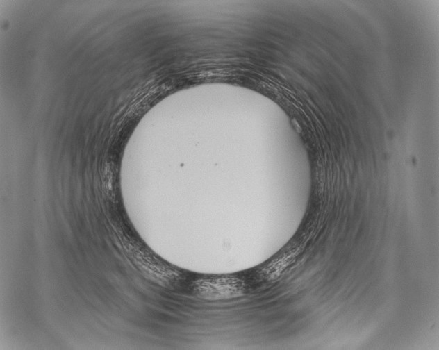 X0000071840567200607290110