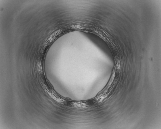 X0000071840568200607290110