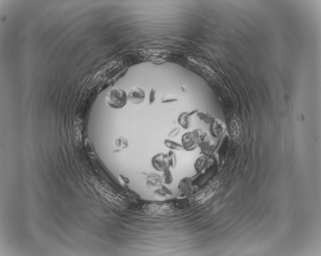 X0000071840570200607290110