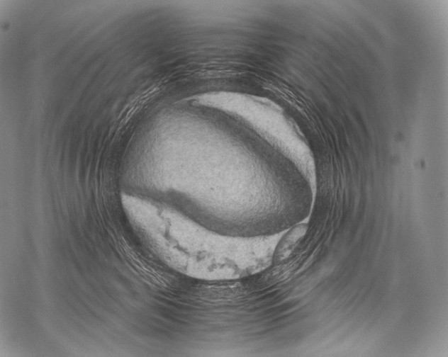 X0000071840571200607290110