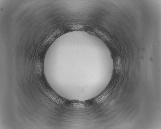 X0000071840572200607290110