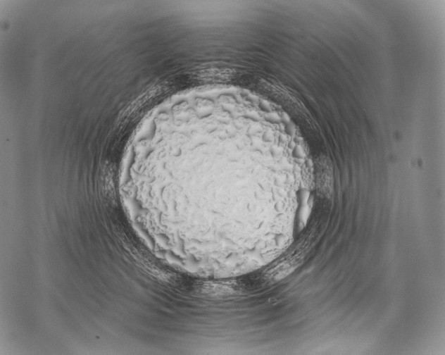 X0000071840573200607290110