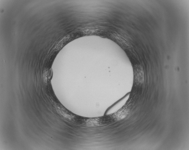 X0000071840574200607290110