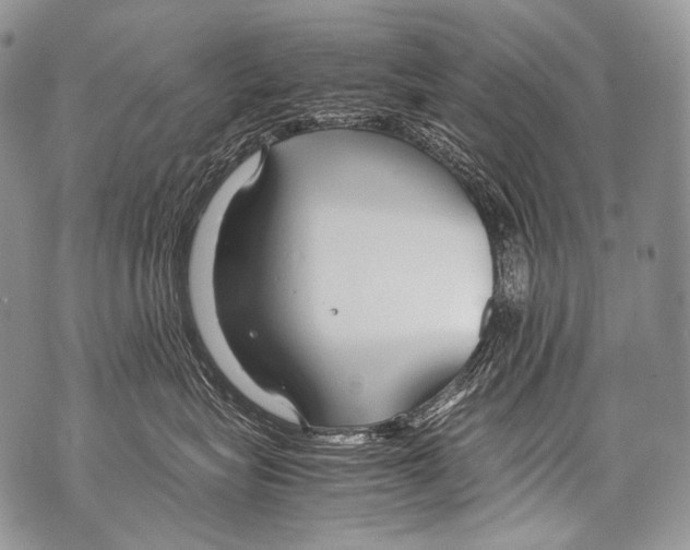 X0000071840575200607290110