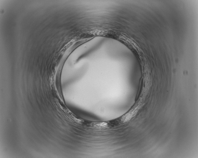 X0000071840576200607290110