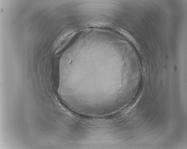 X0000071840577200607290110