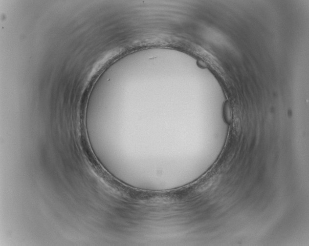 X0000071840578200607290110