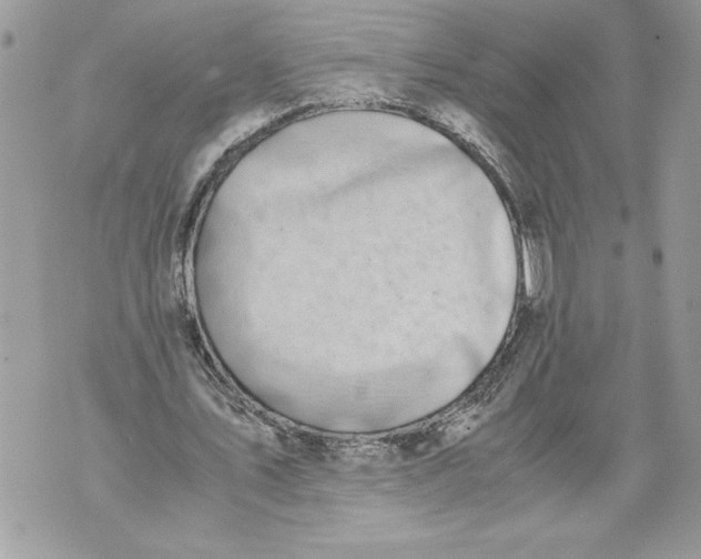 X0000071840579200607290110