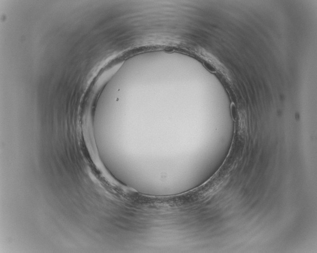 X0000071840580200607290110