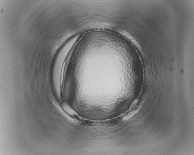 X0000071840581200607290110