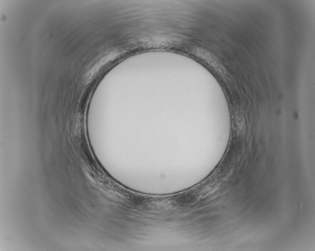 X0000071840583200607290110