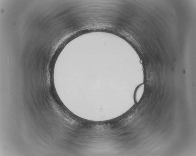 X0000071840584200607290110