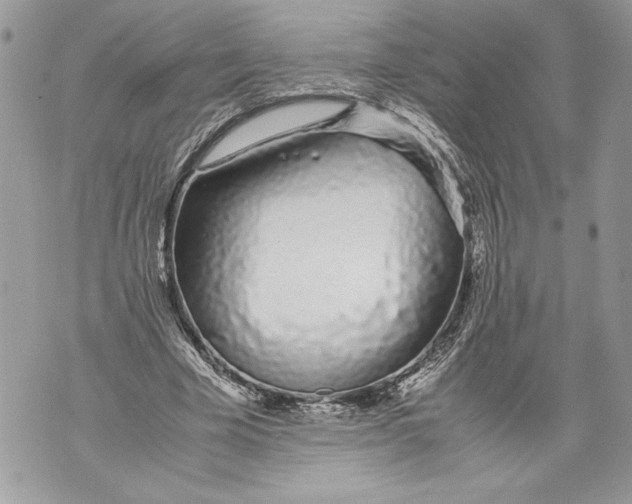 X0000071840585200607290110