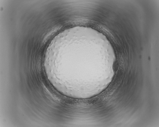 X0000071840586200607290109