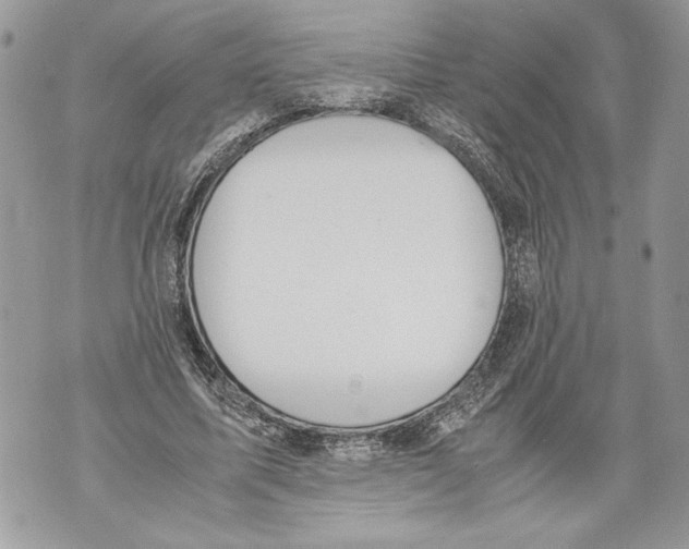 X0000071840587200607290109