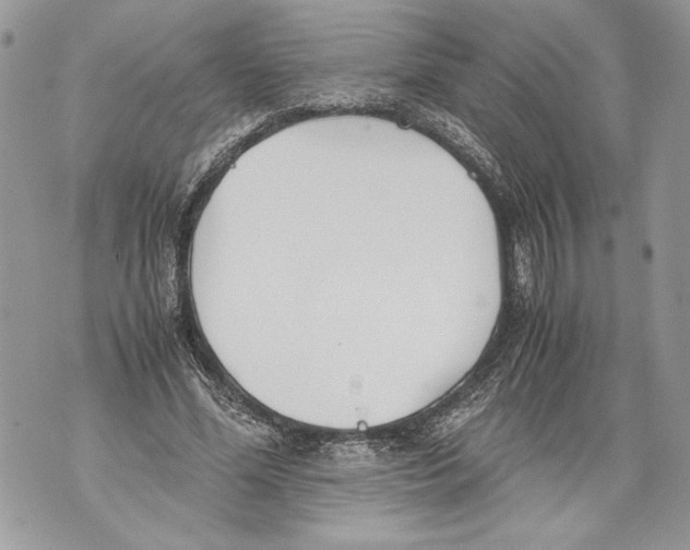 X0000071840588200607290109