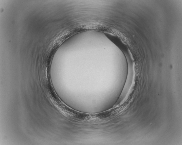 X0000071840589200607290109