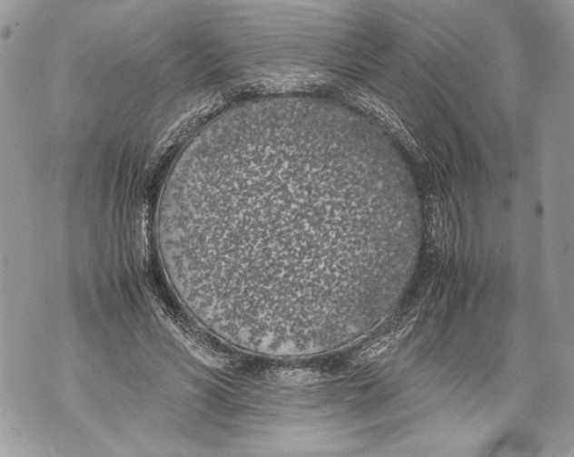 X0000071840590200607290109