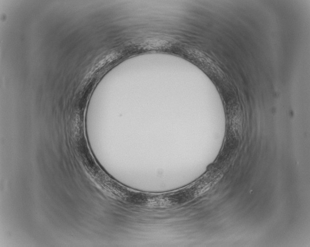 X0000071840591200607290109